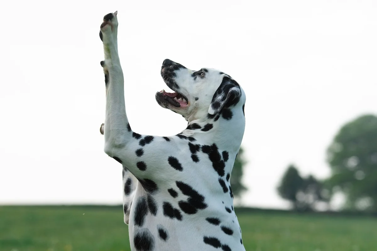 Tax 101 for sole traders