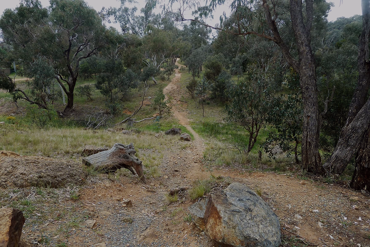 Recapping the Australian Capital Territory Govt Covid-19 response