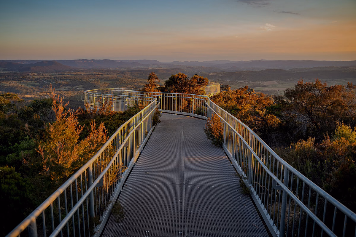 Sole traders: NSW February Covid grants