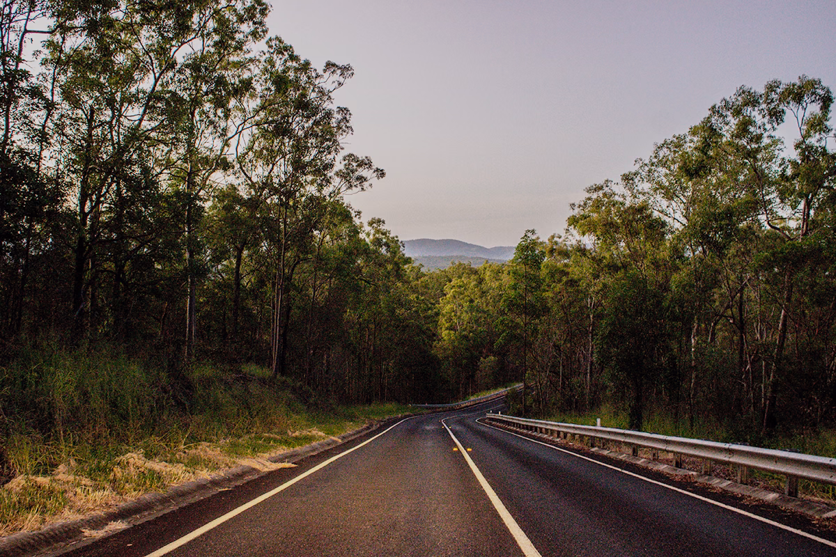 Recapping the Queensland Govt Covid-19 response