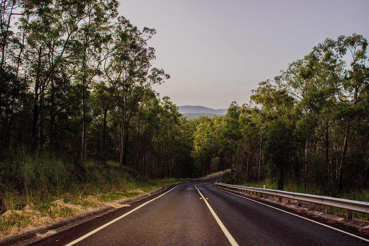 Recapping the Queensland Govt Covid-19 response