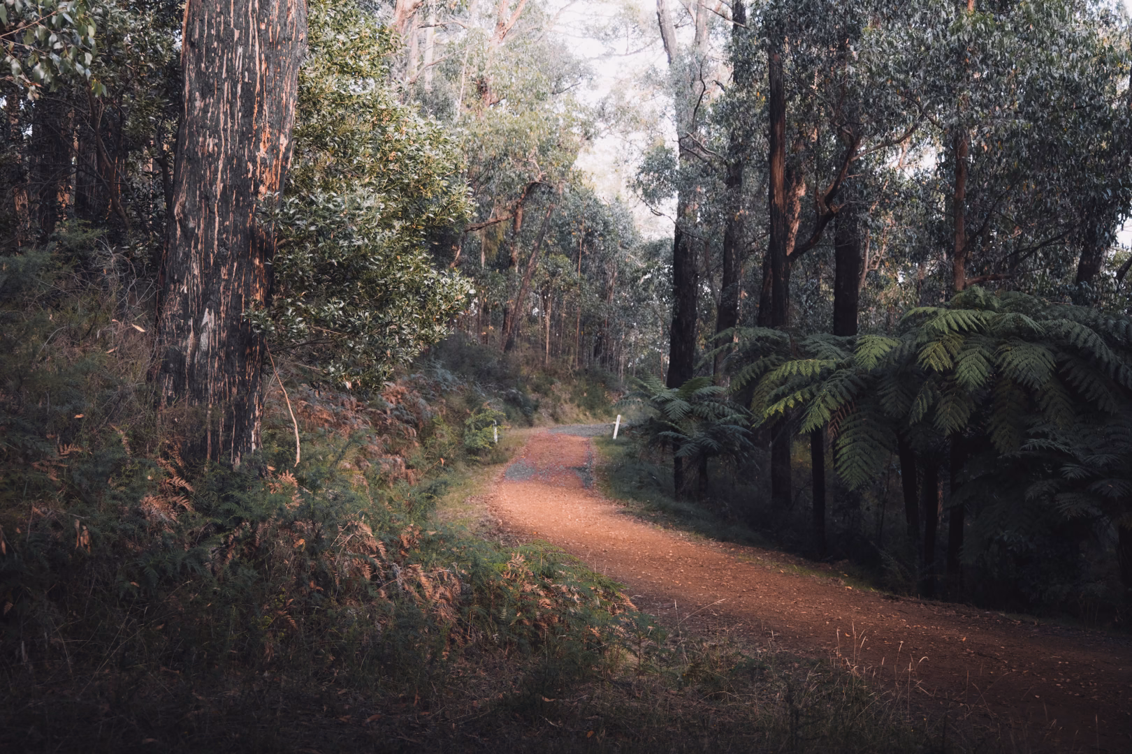 Recapping the NSW Govt Covid-19 response